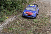 13. RC RALLY FOREST 2017