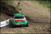 13. RC RALLY FOREST 2017