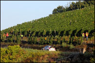 Rallye 2014