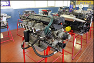 Museo Stanquellini 2025